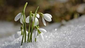 PROGNOZA METEO 15 februarie – 15 martie: Ultimele săptămâni de iarnă nu vor fi blânde. Cum arată vremea la începutul primăverii