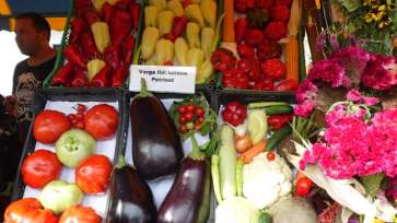 APIA: Subvenții de la stat de 2000 de euro/ 1000 de mp cultivați, pentru producţia de legume. Cererile se depun până în 20 iulie