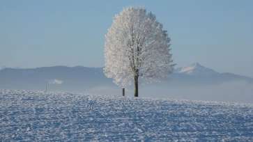 VREMEA în România 13-19 decembrie: ninsorile câștigă teren, temperaturi în scădere. Prognoza meteo pe zile