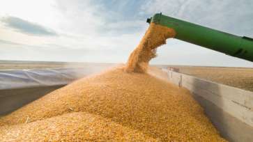 România nu va mai importa cereale din Ucraina. Decizia vine din partea Comisiei Europene