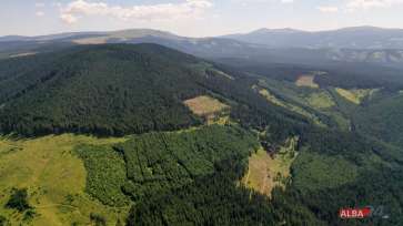 Pădurile din România vor fi monitorizate prin satelit. A fost desemnat câştigătorul licitației de peste 31,5 milioane de lei