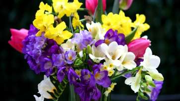 Nume despre care NU ŞTIAI că se sărbătoresc de FLORII: 1,4 români își celebrează ziua în Duminica Floriilor